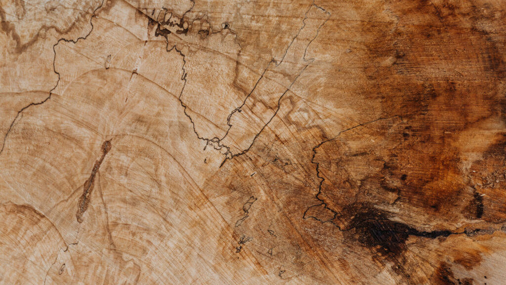 bg wood grain2 - Verenovo