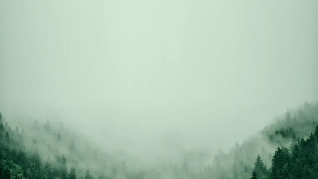 grain hero - Verenovo