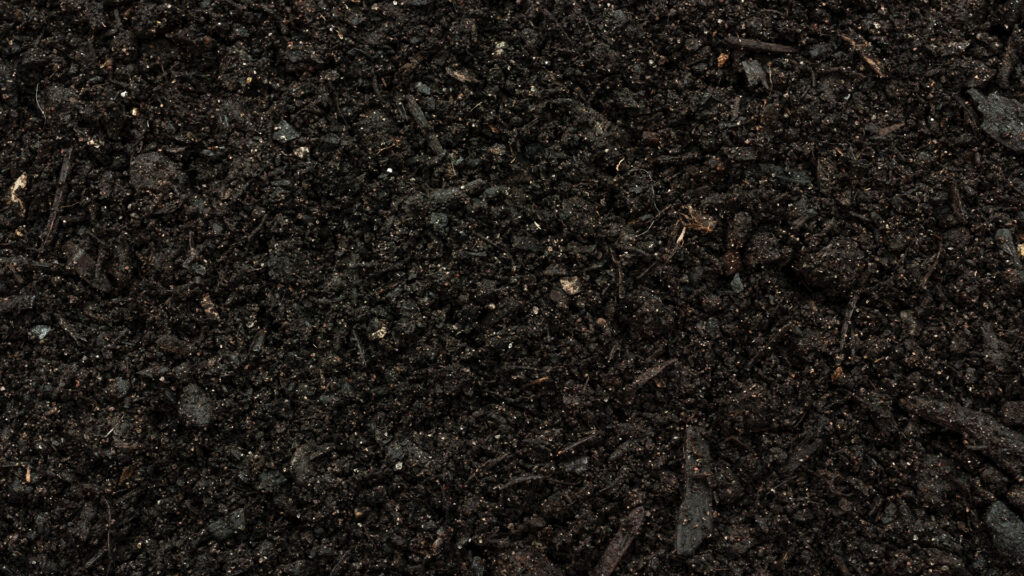 dark soil biochar - Verenovo