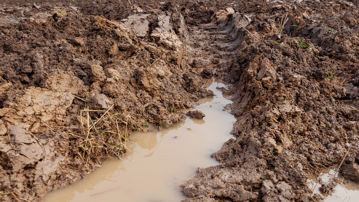 what is soil conditioner for clay soil